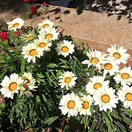 With Parking Space Trpanj, Peljesac - 10180 Apartamento Trpanj